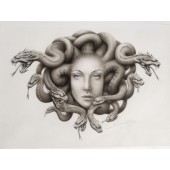 Medusa návrh